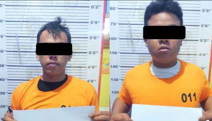Curi Gabah Padi di Teras Rumah, Dua Pemuda Ditangkap Polisi