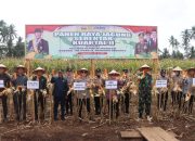 Panen Raya Serentak Kuartal II Warnai Optimisme Swasembada Pangan