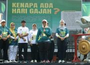 Gajah Fest 2025 Elefun Run Sukses Gaet Ribuan Peserta