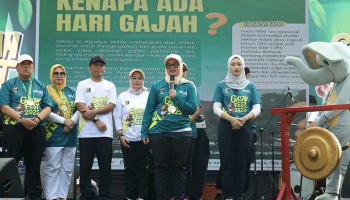 Gajah Fest 2025 Elefun Run Sukses Gaet Ribuan Peserta
