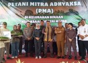 Bukti Kinerja Legislator: DPRD Metro Dorong Ketahanan Pangan Lewat Program Tanam Padi Bersama