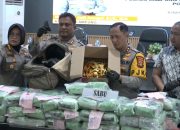 Disamarkan dalam Semangka, Sabu Rp131 Miliar Digagalkan di Pelabuhan Bakauheni