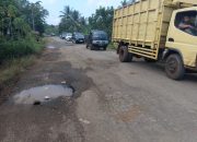 Jalan Provinsi Penghubung Bendungan Marga Tiga Rusak Parah, Warga Desak Pemprov Lampung Segera Perbaiki