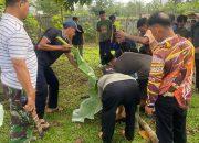 Momentum Idul Adha, PTPN 1 Regional 7 Pererat Kepedulian Lewat Penyembelihan Kurban