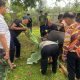 Momentum Idul Adha, PTPN 1 Regional 7 Pererat Kepedulian Lewat Penyembelihan Kurban