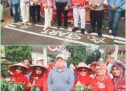 Ribuan Warga Tumpah Ruah, Karnaval HUT RI ke-81 di Sukadana Berlangsung Meriah