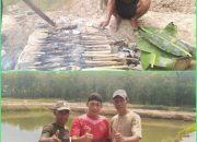 Sukses Budidaya Ikan Nila, Badarudin Diharapkan Jadi Inspirasi Purna PMI
