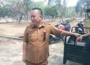 DLH Lampung Timur Lakukan Perapian Taman di Komplek Pemda, Sekitar 15 Pekerja Turun ke Lapangan